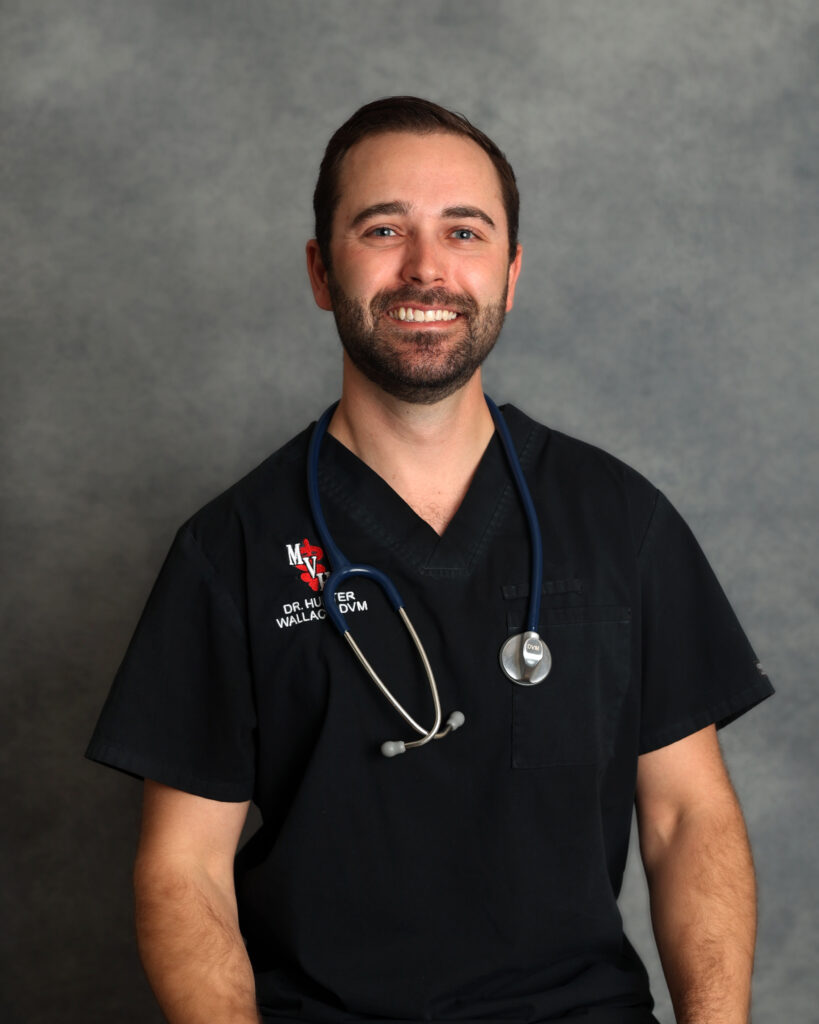 Dr Hunter