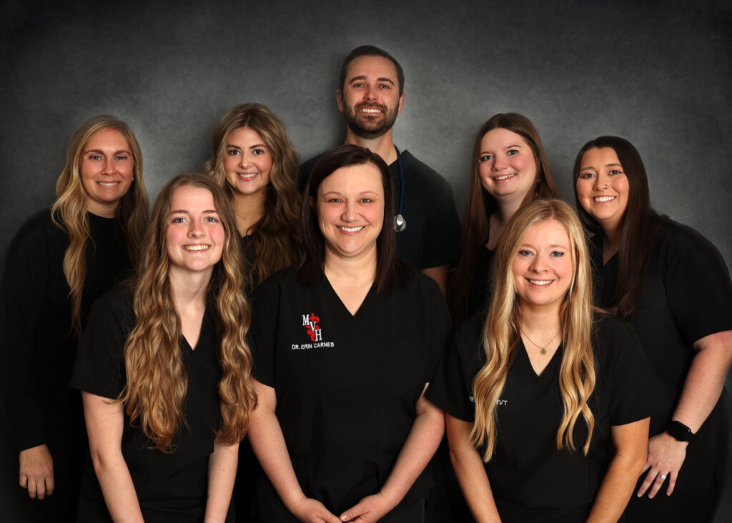 Monett Vet Team